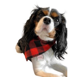 The Pure Blue Pack of 5 Plaid Multicoloured Dog Bandanas - 100% Cotton & 3 Packs to choose from (Pack Three, Multicoloured)