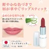Lipstick Lipstick 543 Wine (Lip Rouge Rose Pink Made in