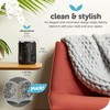 Katchy Duo Indoor Insect Trap with Scent Pod - Fan