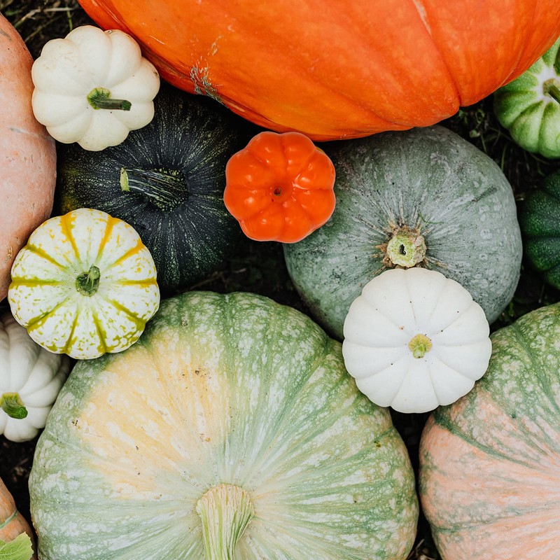 WINOMO 100Pcs Artificial Pumpkin Fake Fruit Fall Harvest Mini Pumpkins