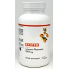 Rydter Turmeric Curcumin Phytosome 1000mg 95% Curcuminoids, Bone & Joint