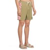 Quiksilver Men's Standard Original Arch 18 Boardshorts, Aloe