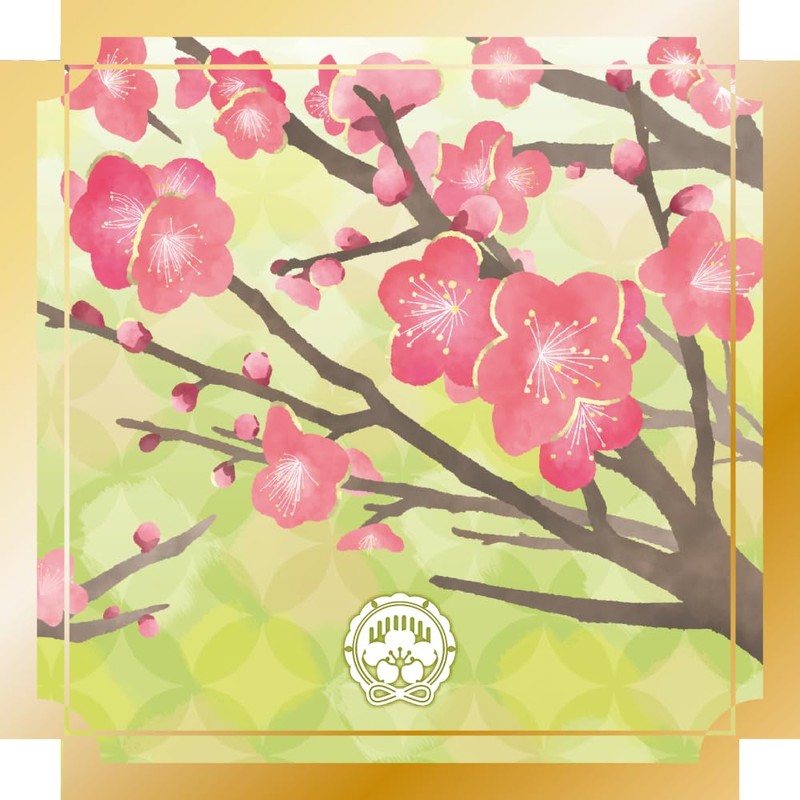 Hanaeimi Hand Cream February Plum