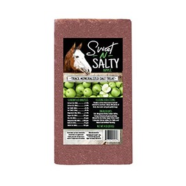 Kalmbach Feeds Sweet N Salty Apple Flavored Salt Treat Brick for Horses, 4 lb