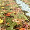 ANRO Oilcloth Tablecloth Oilcloth Tablecloth Country Village Yard Farm 100