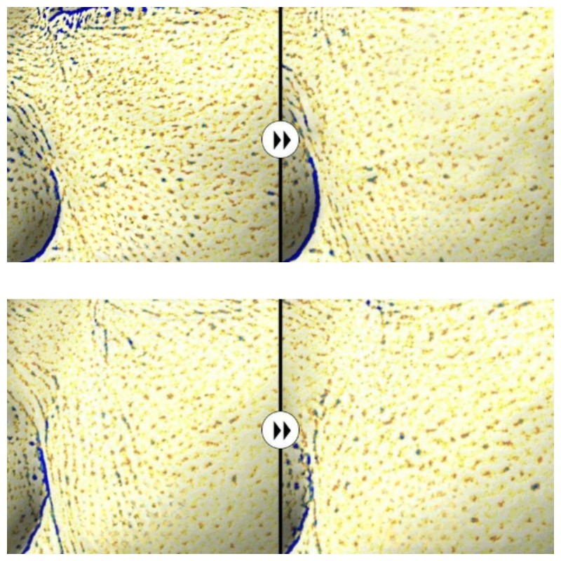 MEDIHEAL Essential Mask 24ml*10ea, Type:Ceramide