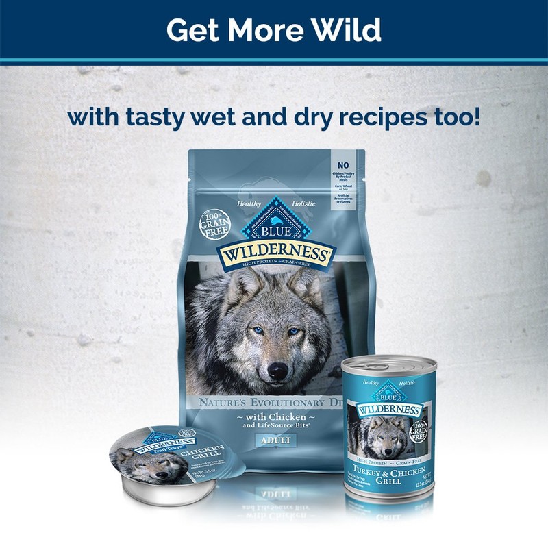 Blue Buffalo Wilderness Trail Treats Grain Free Biscuits Crunchy Dog
