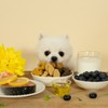 Fitpet Better Doggy Chew Treats for Puppies and Kittens, Comprehensive