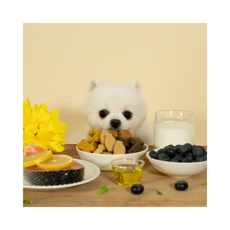 Fitpet Better Doggy Chew Treats for Puppies and Kittens, Comprehensive