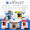 Alfavet Canigum Relax Dietary Supplement Food for Dogs, 120 g