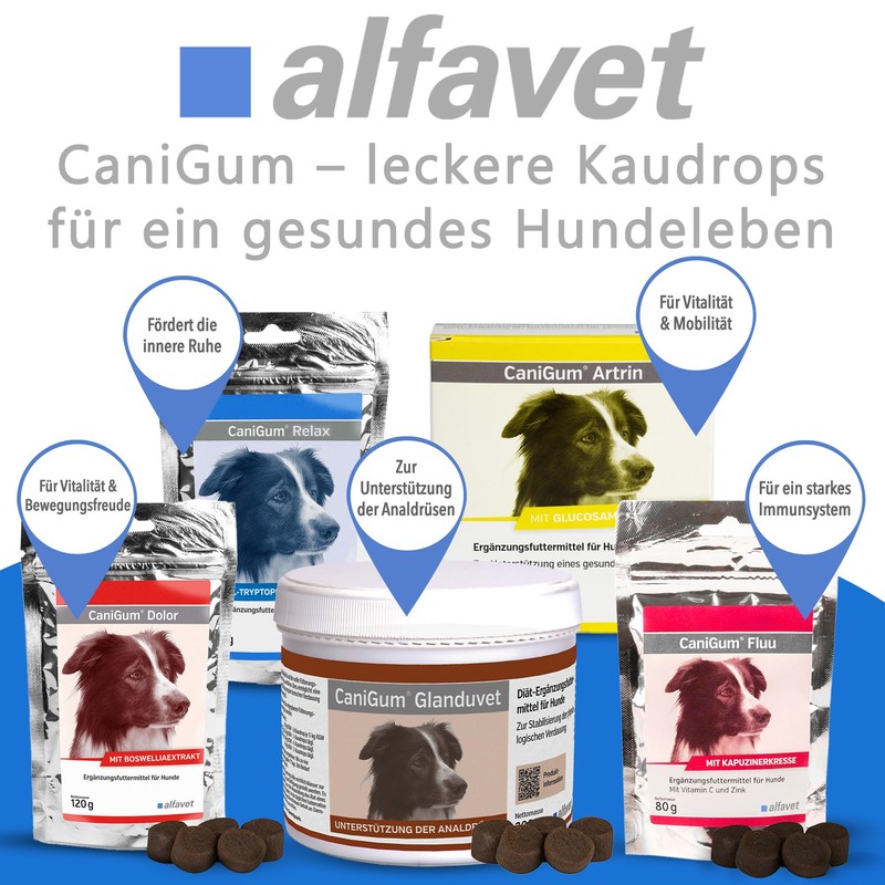 Alfavet Canigum Relax Dietary Supplement Food for Dogs, 120 g