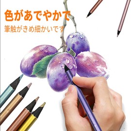 12 Colored Pencils, Watercolor Paints Set of 12 Metallic Colored Pencils Watercolor Kit for Painting Oil Colored Pencils
