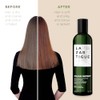 Lazartigue Colour Protect Shampoo For Women 8.4 oz Shampoo