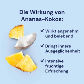'SPITZNER Sauna Infusion Concentrate "Pineapple Coconut (1000 ml)