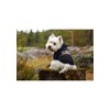 Rukka Pets Sierra Sweatshirt for Dogs Black 40