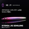 Daiwa Tachio-Jig, Mirrored Fang, Semi-Long 3.5 oz (100 g), FH