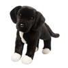 Douglas Twister Black Lab/Pit Bull Mix Plush Stuffed Animal |