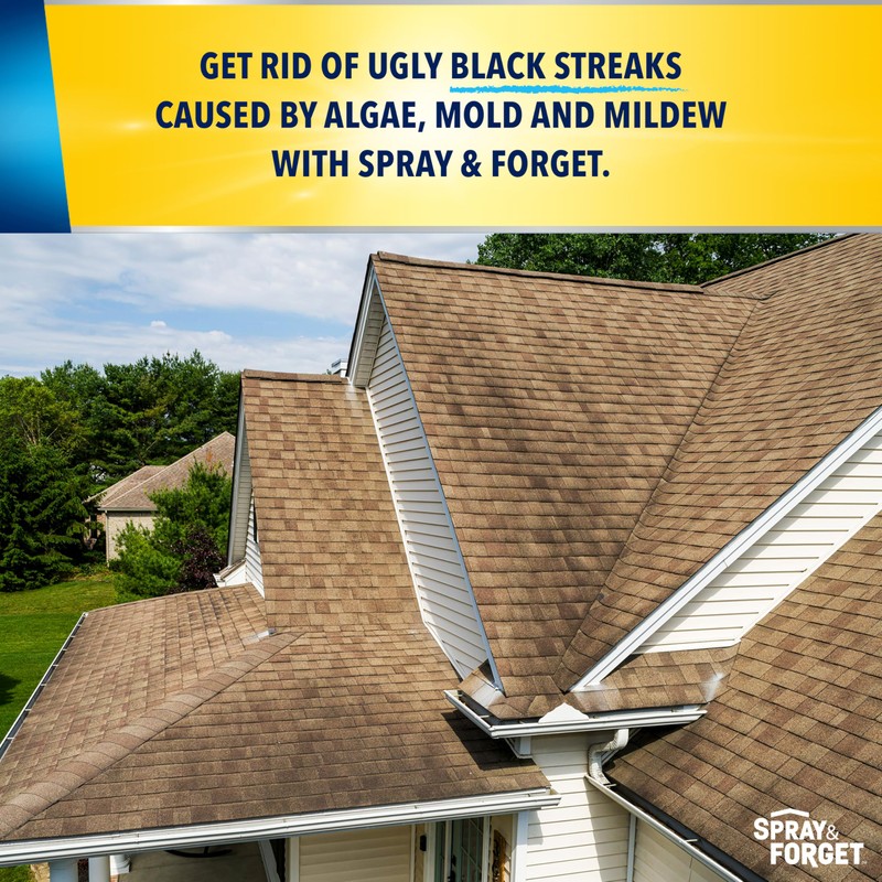 Spray & Forget 1-Gallon Concentrated Roof Cleaner