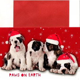 American Greetings Funny Merry Christmas Bulldog Bulldogs Paw Paws On Earth Greeting Card
