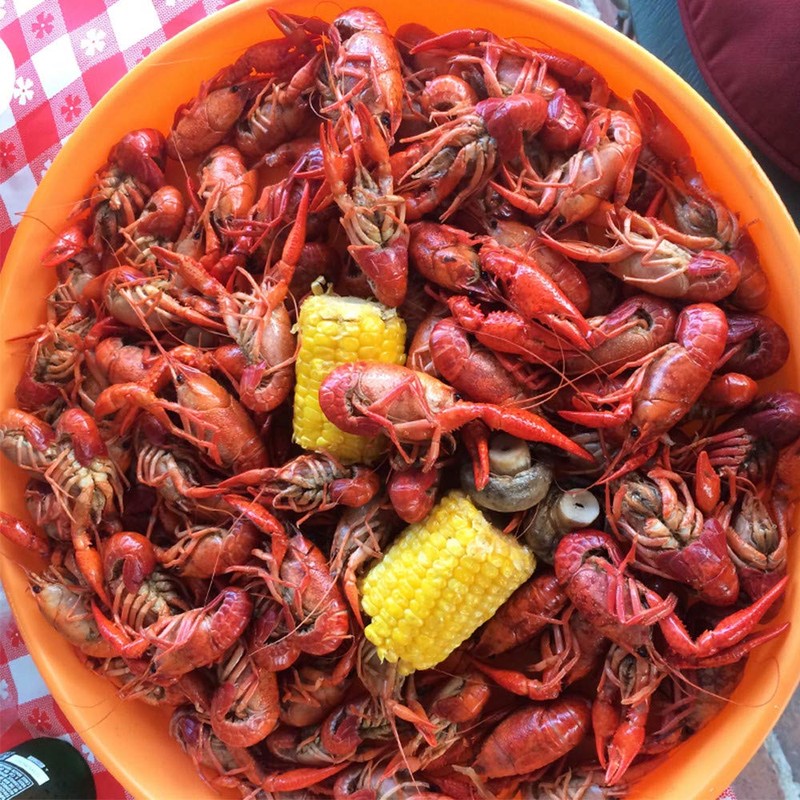 Zatarain's Crawfish, Shrimp & Crab Boil, 4.5 lb (Pack of