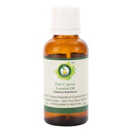 R V Essential Pure Cypress Essential Oil 15 ml (0.507 ounces) - Cyperus Seariosus (100% Pure and Natural Steam Distillated) Pure Cypress Essential Oil