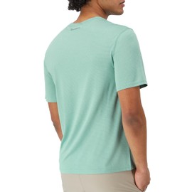 CHAMPION, Novelty Sport, Wicking, Anti-Odor Lightweight Men's T-Shirt, Nimbus Green Heather C Logo, Small