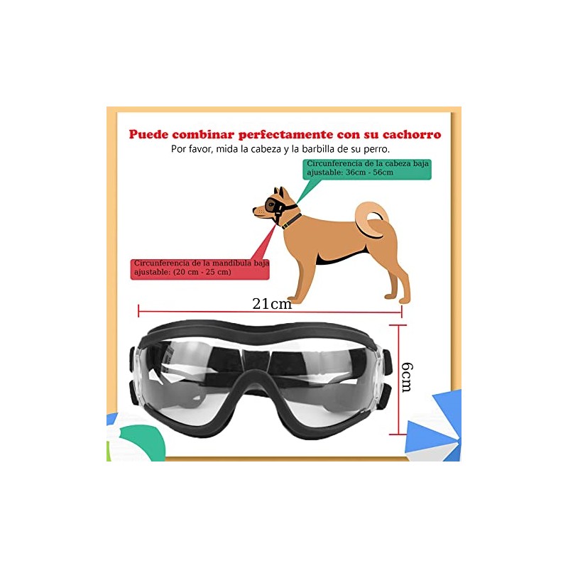 Gafas de Sol para Perro, Transparente, Ajustables | Perros Medianos