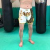 Brightrust Muay Thai Pants, Kicking, Boxing, K-1, Trunks, Games, Practice,