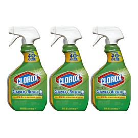 Clorox Clean-Up Bleach Cleaner Spray Value 24 Fl Oz (Pack of 3)