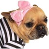Rubies Fifties Girl Pet Costume for Dogs or Cats, Medium