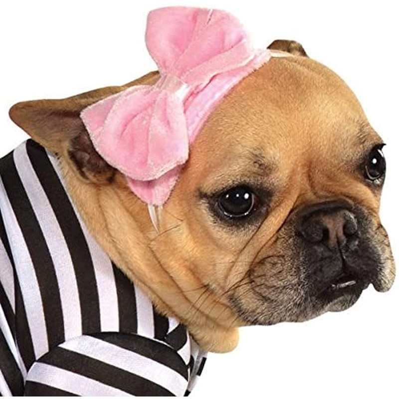 Rubies Fifties Girl Pet Costume for Dogs or Cats, Medium