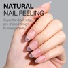 AILLSA Nail Tips - 450 PCS Short Almond Upgraded Matte