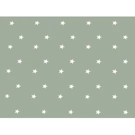 Home Direct Rectangular Oilcloth PVC Wipe Clean Tablecloth Table Cover 140cm x 180cm 55x70 Stars Sage Green