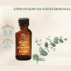 OLEUM VITAE Aceite Esencial de Eucalipto 120ml. Eucalyptus Globulus 100%