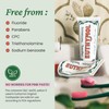 EUTHYMOL Original Toothpaste (3.7fl oz*5, Pack of 5) - Fluoride-Free