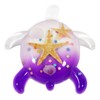 Real Bug MT336 Turtle Shaped Magnet with Starfish and Shells,