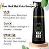 Dexe Black Hair Shampoo 400 ML Instant Hair Darkening Dye