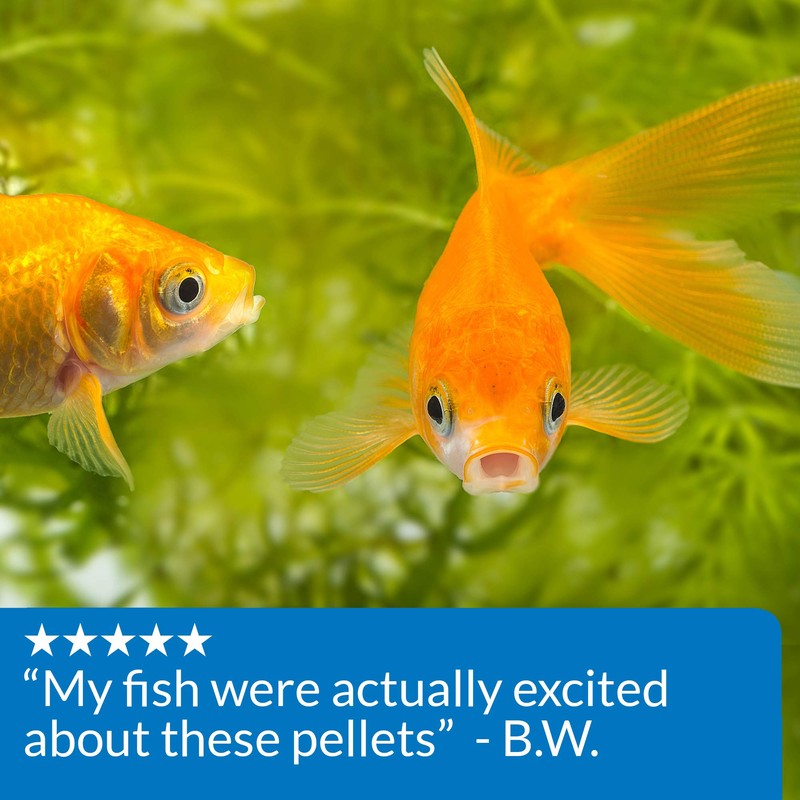 API Tropical PELLETS Sinking Pellets Fish Food