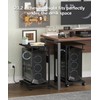 Akxomel 2 Tier Computer Tower Stand with Charging Station, 11.8"D