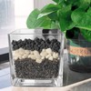 CARURBODY Black Lava Rocks for Plants -100% Pure Volcanic Rock