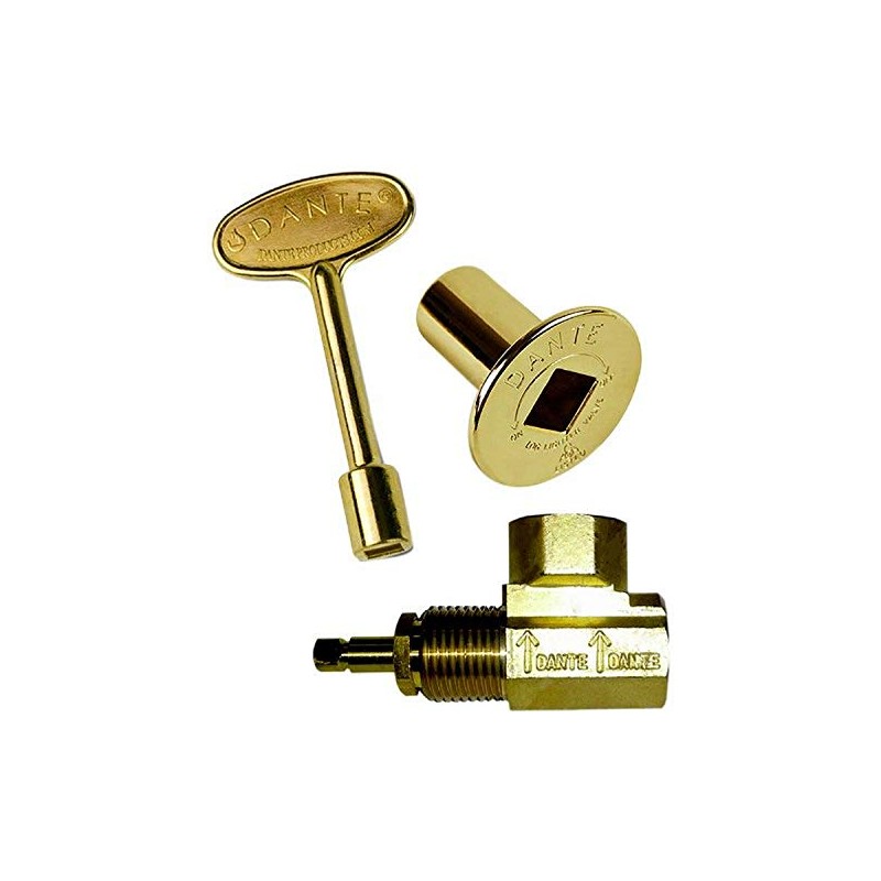 Dante Products Combo Pack with Angled 1/2-inch Globe Valve, Polished