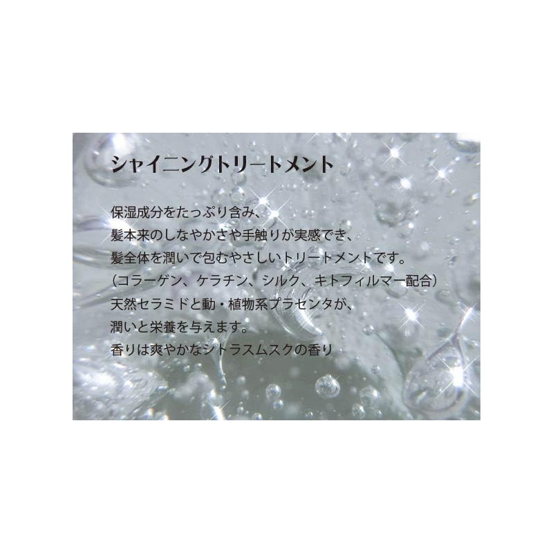 Shining Treatment 16.9 fl oz (500 ml)