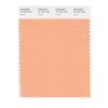 PANTONE Smart 14-1227X Color Swatch Card, Peach