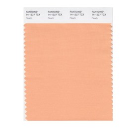 PANTONE Smart 14-1227X Color Swatch Card, Peach