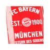 FC Bayern München Metal Sign Set of 2