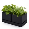 Herb Garden Planter Set with Saucer, Black, 76-Q-B-1