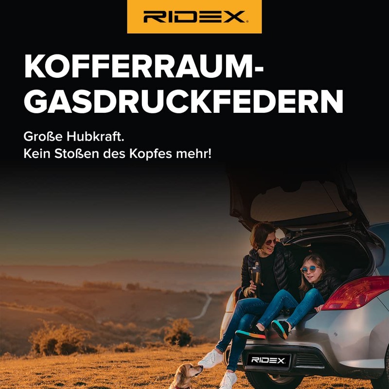 RIDEX 219G0259 Tailgate Damper on Both Sides, Vehicle Tailgate, Length: