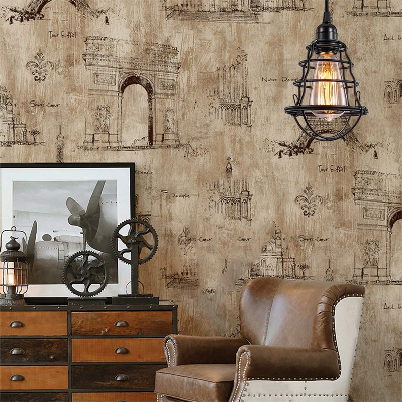 Industrial Plug in Pendant Light, Asnxcju Vintage Hanging Cage Pendant