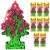 LITTLE TREES LITTLE TREES Air Fresheners Car Air Freshener. Hanging