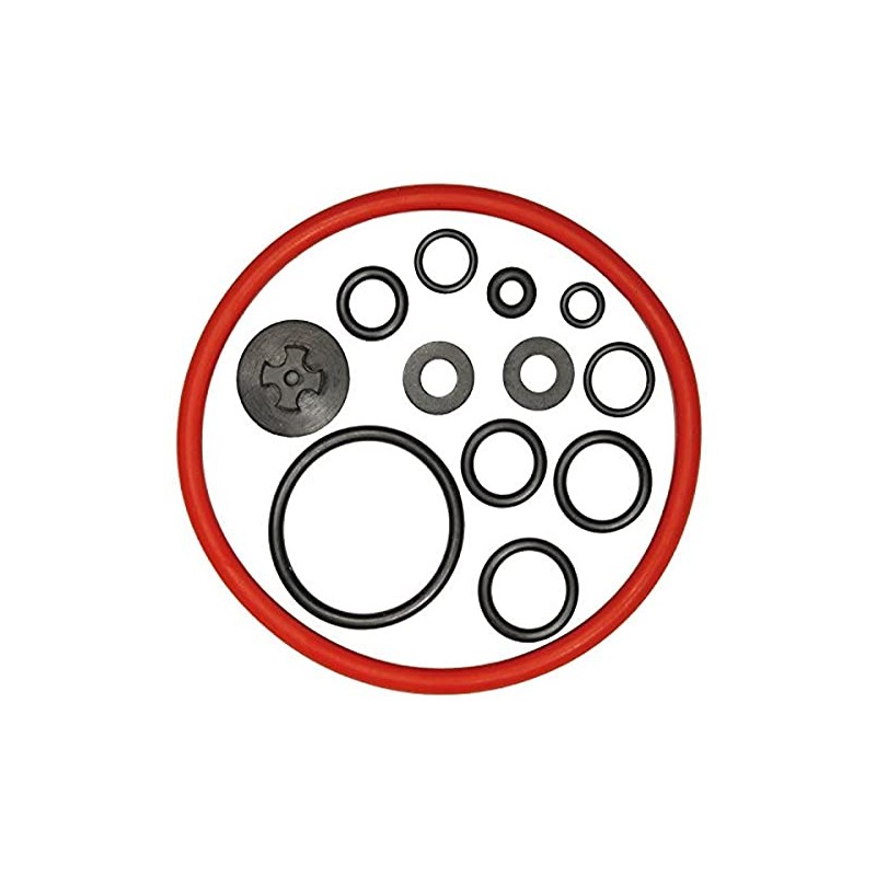 Solo Gasket Kit for 456 and 457 Sprayers